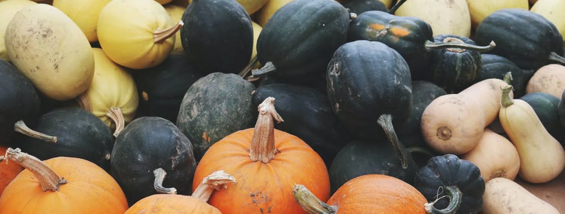 Thanksgiving Facebook cover photo (Holidays)