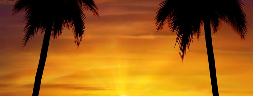 Palm tree sunset Facebook cover photo (Nature)