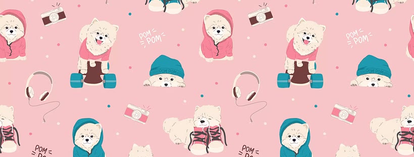 Cute spitz Facebook cover photo (Dogs)