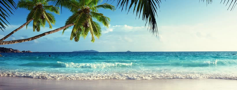Tropical Facebook cover photo (Nature)